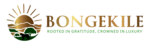 bongekile.co.za